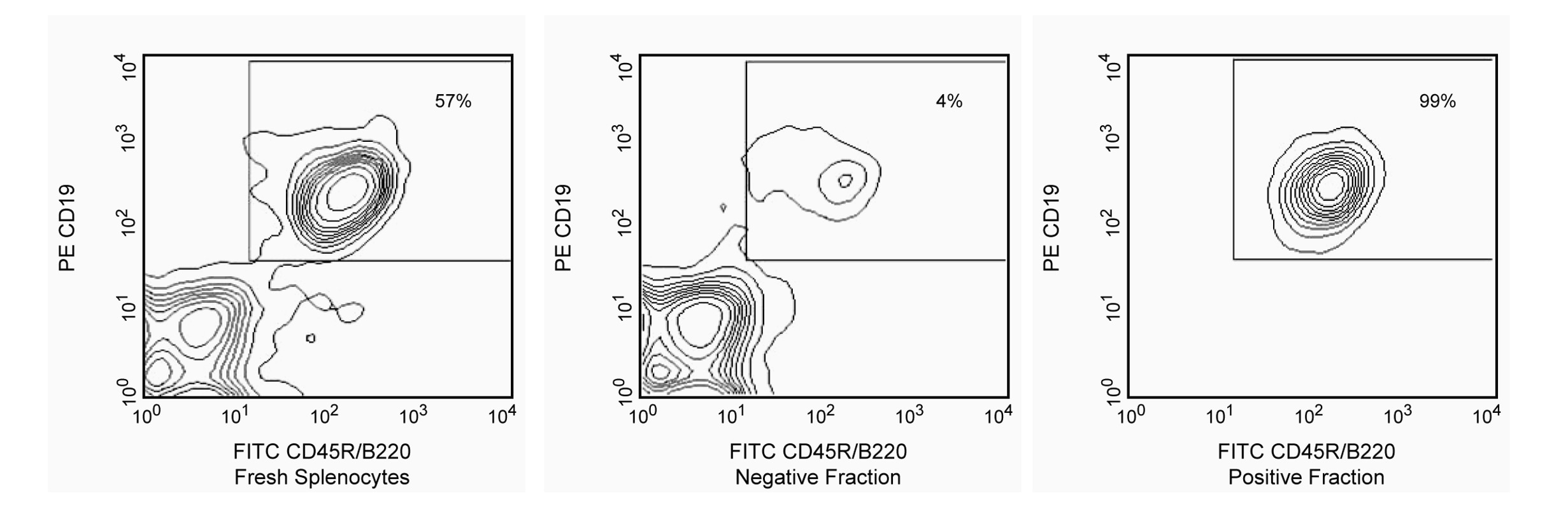551513Image1.png